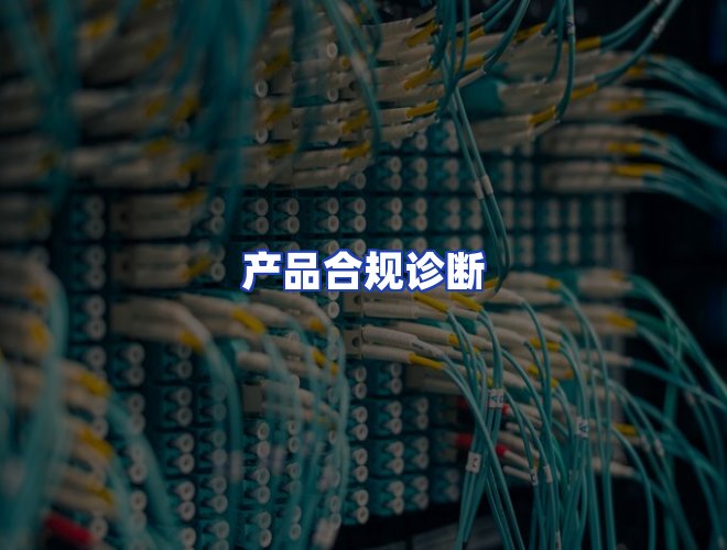 专业团队